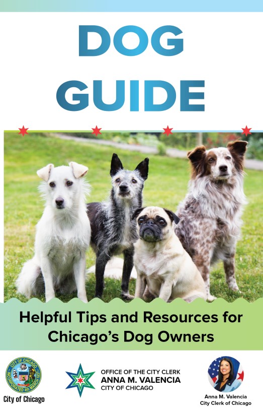 City Clerk Chicago Dog Guide